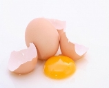 http://static.freepik.com/free-photo/white-background-eggs-yolk-broken-egg_326870.jpg